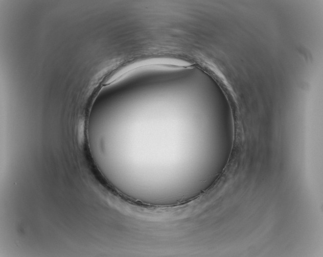 X0000114600019200911091327