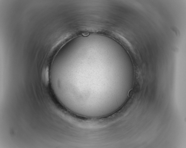 X0000114600020200911091327