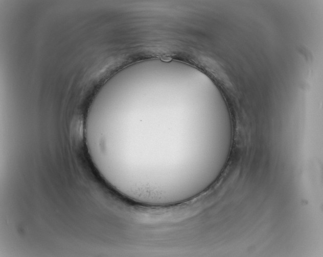 X0000114600021200911091327