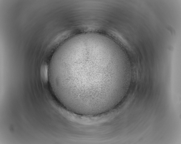 X0000114600022200911091327