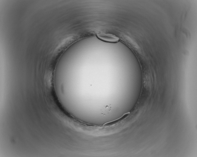 X0000114600023200911091326