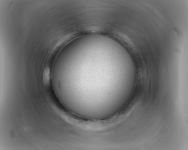 X0000114600024200911091326