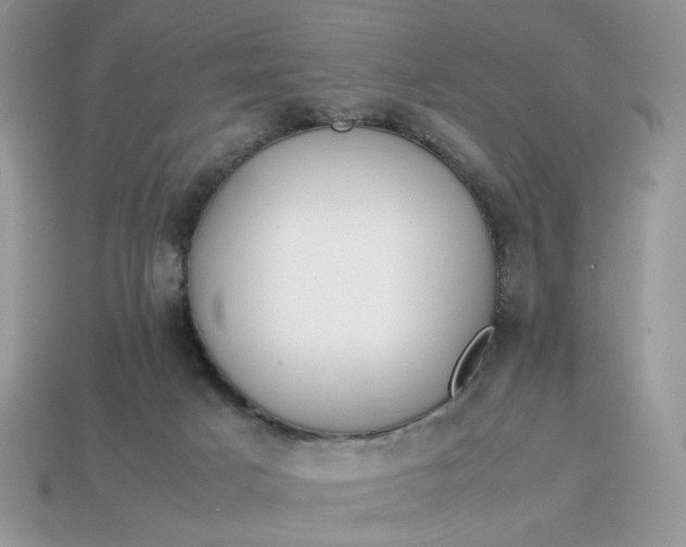 X0000114600025200911091326