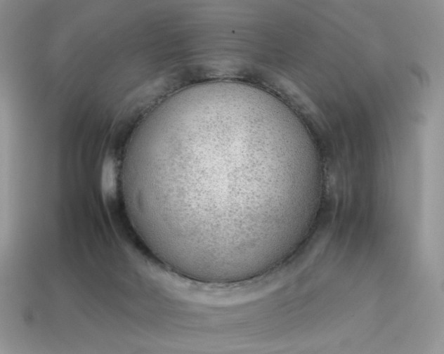 X0000114600026200911091326