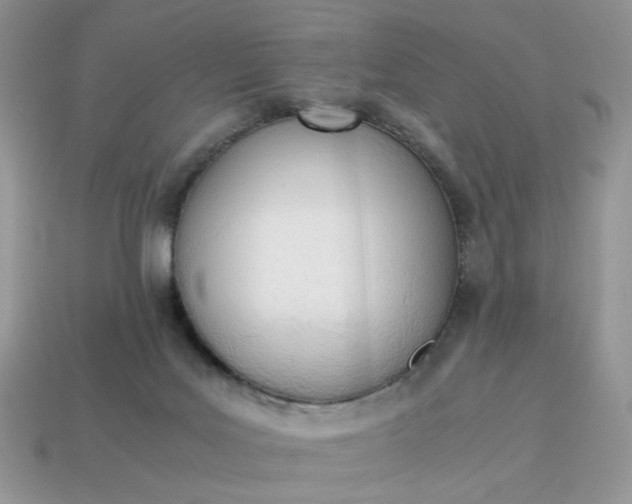 X0000114600027200911091326