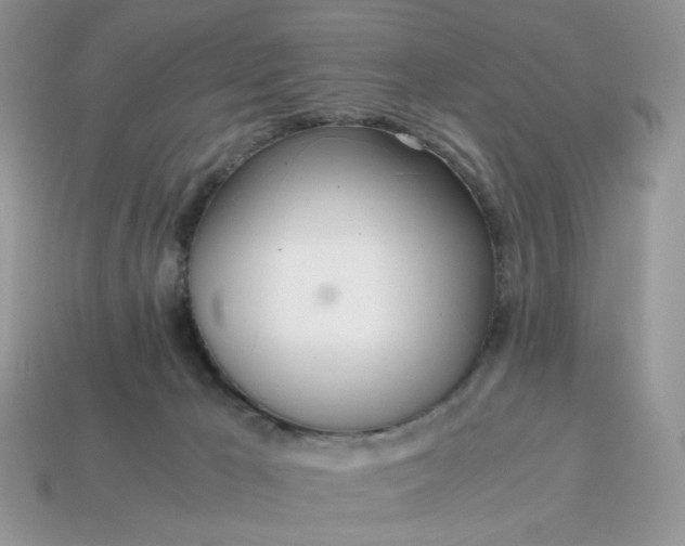 X0000114600029200911091326