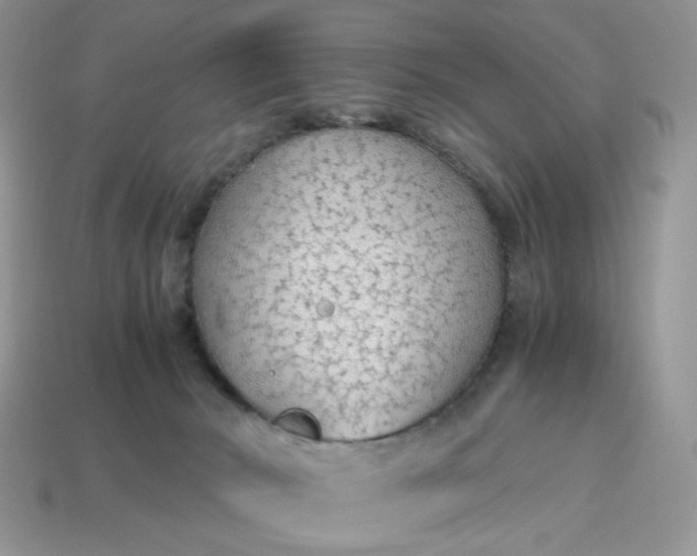 X0000114600030200911091326