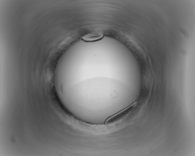 X0000114600031200911091326