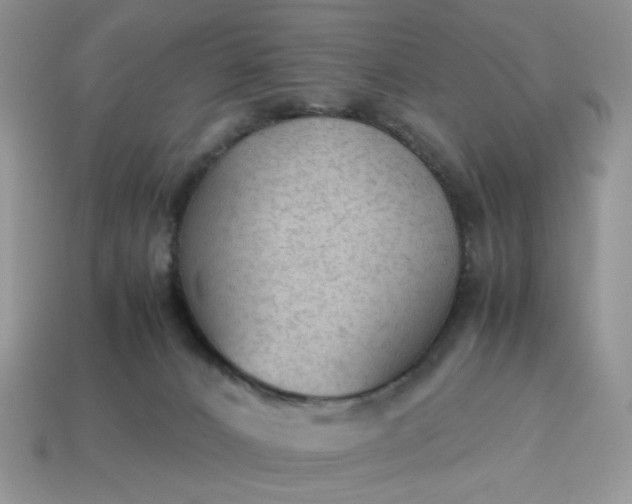 X0000114600032200911091326