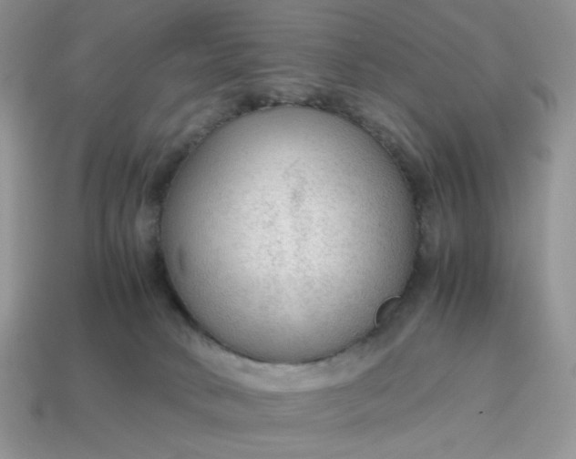 X0000114600034200911091326