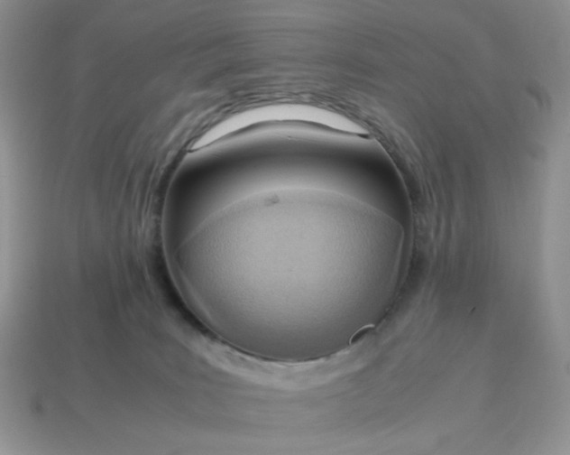 X0000114600035200911091326