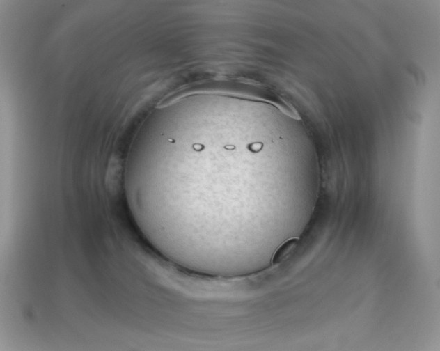 X0000114600036200911091326