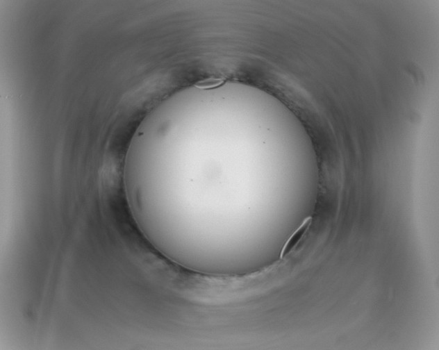 X0000114600037200911091326