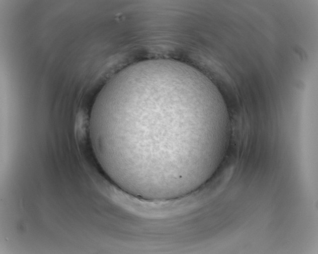 X0000114600038200911091326