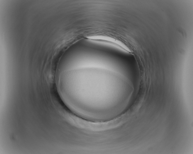 X0000114600039200911091326