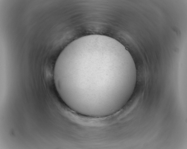 X0000114600040200911091326