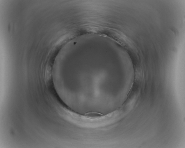 X0000114600043200911091326