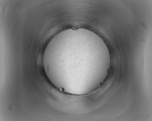 X0000114600044200911091326