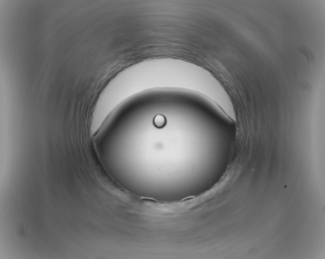 X0000114600045200911091326