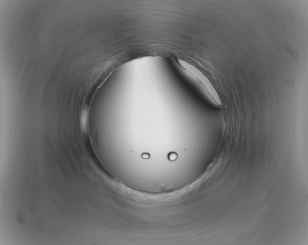 X0000114600047200911091326