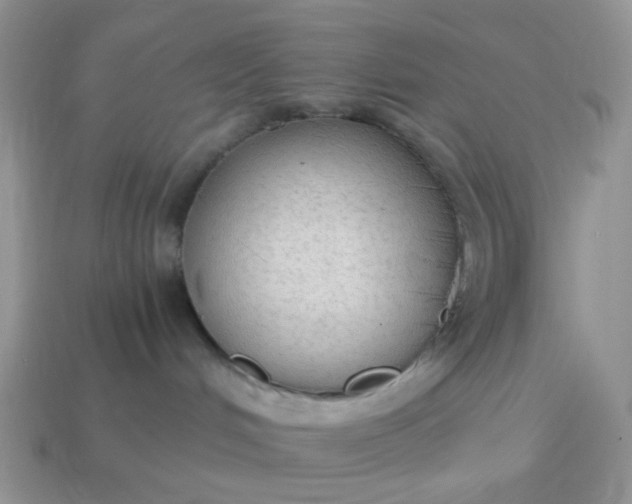 X0000114600048200911091326