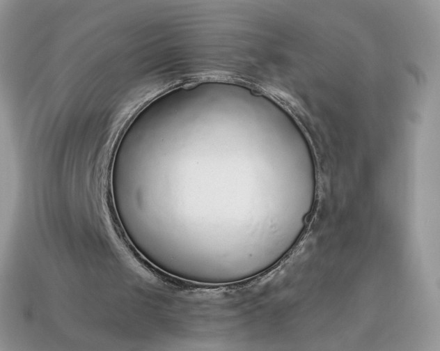 X0000114600049200911091326