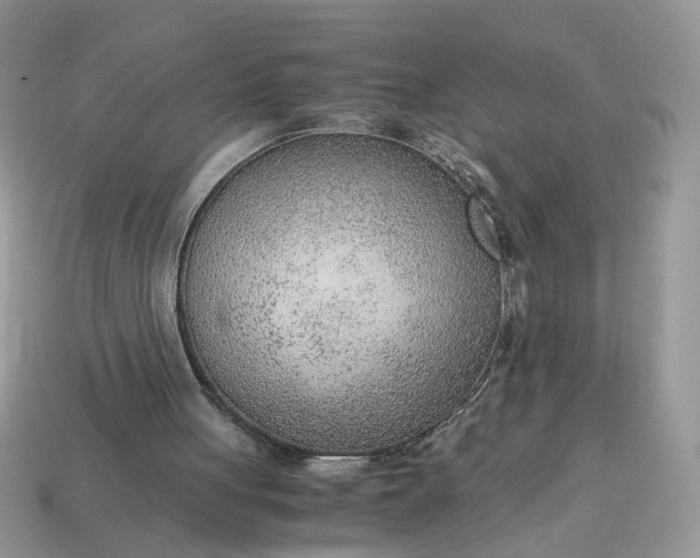 X0000114600051200911091326