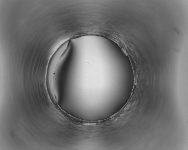 X0000114600052200911091326