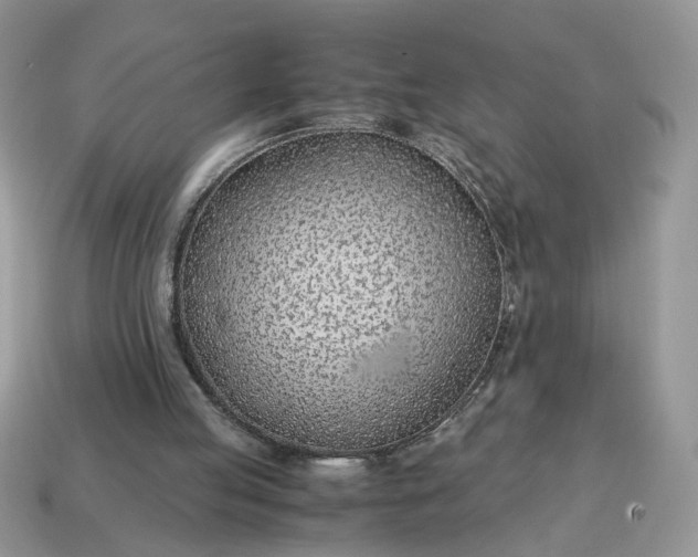 X0000114600053200911091326