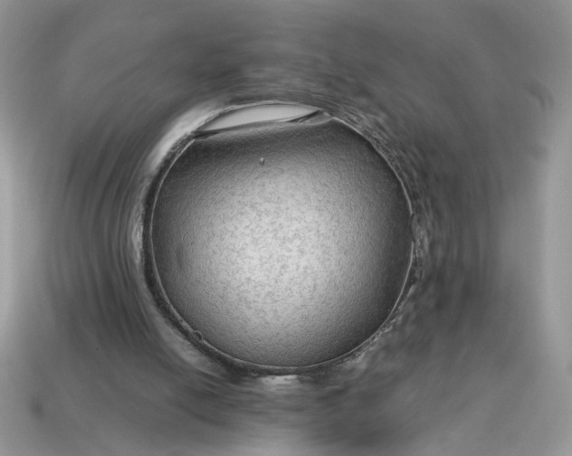 X0000114600054200911091326