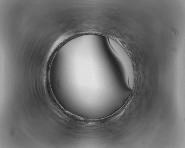 X0000114600056200911091326