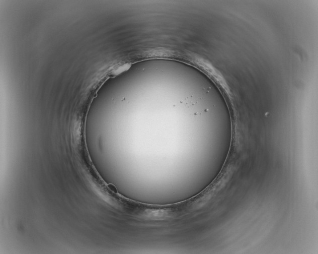 X0000114600057200911091326