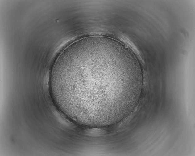 X0000114600058200911091326