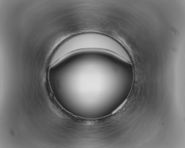 X0000114600060200911091326