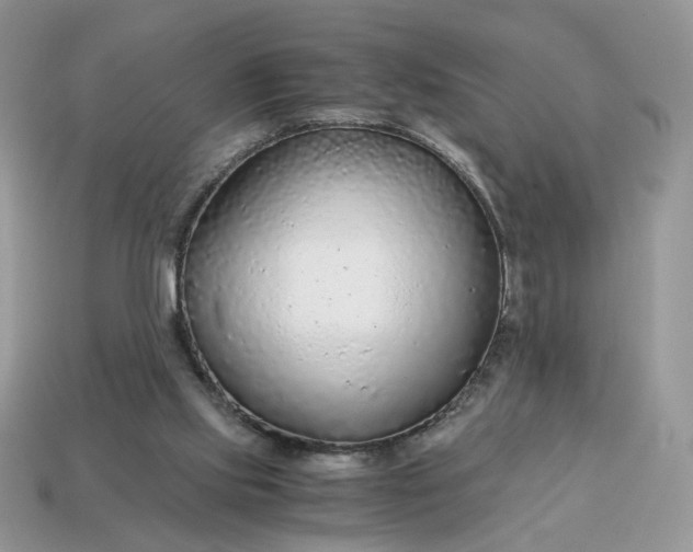 X0000114600061200911091326