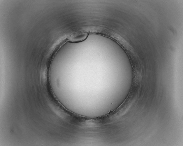 X0000114600064200911091326