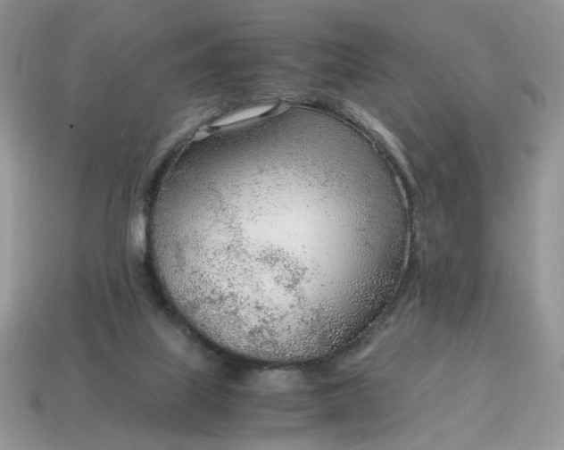 X0000114600067200911091326