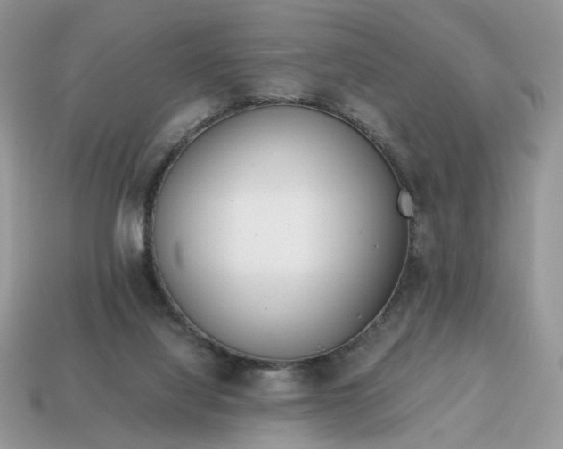 X0000114600068200911091326