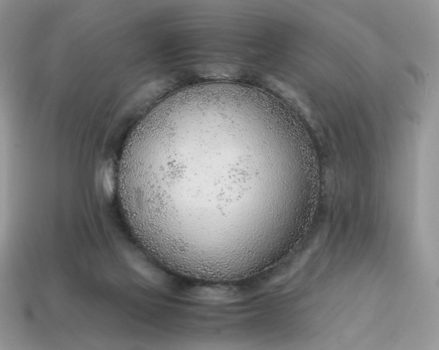 X0000114600069200911091326