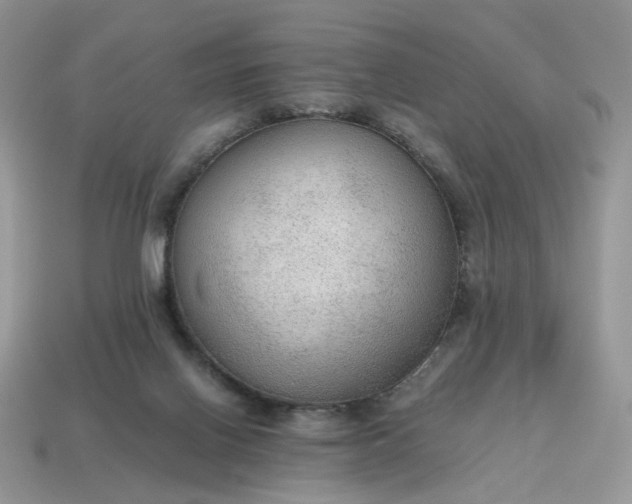 X0000114600070200911091326