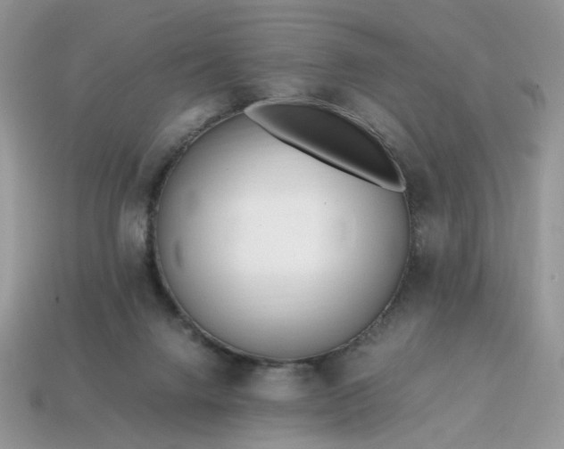 X0000114600072200911091326