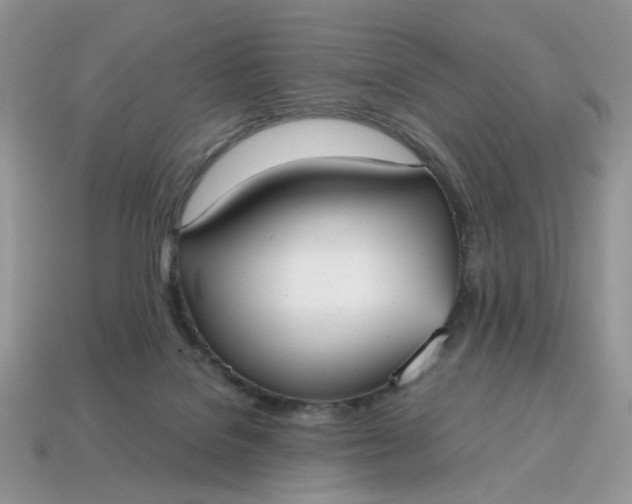 X0000114600076200911091326