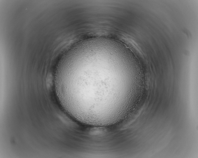 X0000114600077200911091326