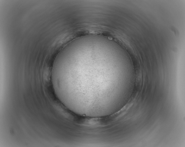 X0000114600078200911091326