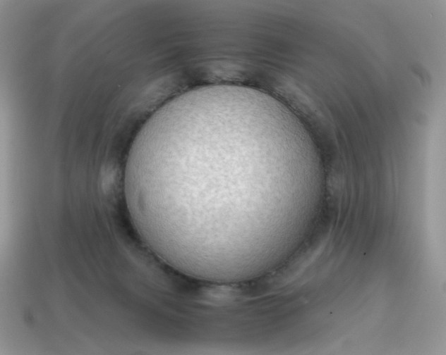 X0000114600079200911091326