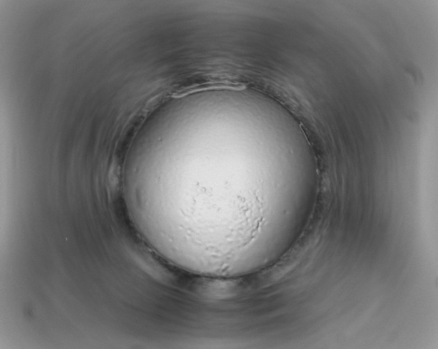 X0000114600081200911091326