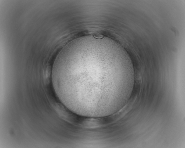 X0000114600082200911091326