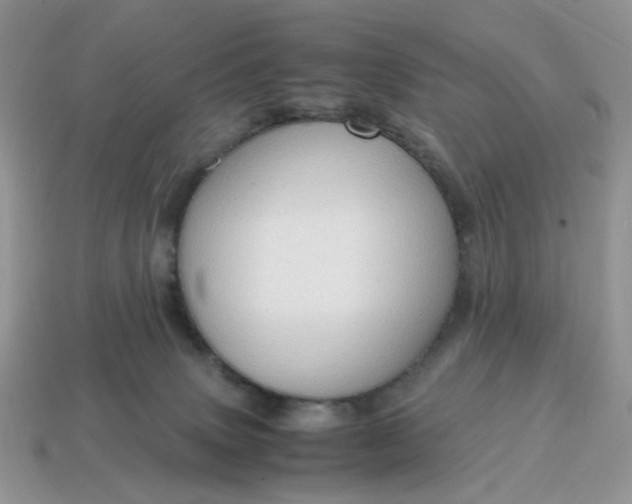 X0000114600083200911091326