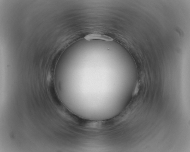 X0000114600084200911091326