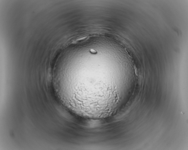 X0000114600085200911091326